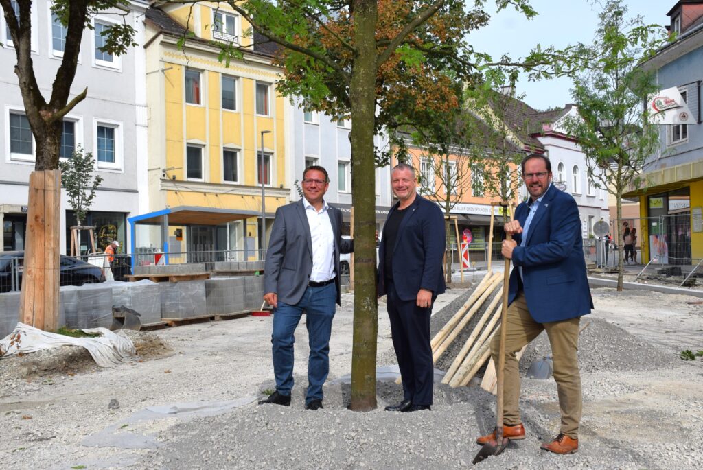 Bürgermeister Christian Haberhauer, Vizebürgermeister Dominic Hörlezeder, Vizebürgermeister Markus Brandstetter stehen am Hauptplatz neben neu gepflanztem Baum. 